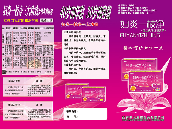 婦炎一支凈