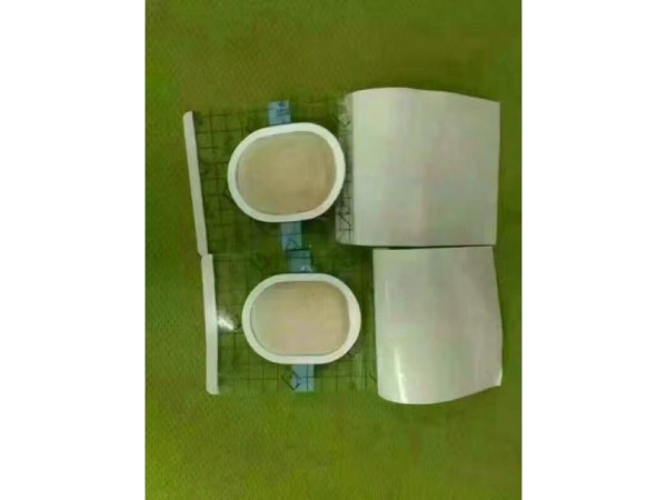 東進藥業(yè)，沙蒿子透皮貼全國招商