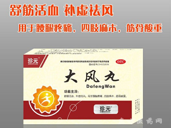 大風(fēng)丸