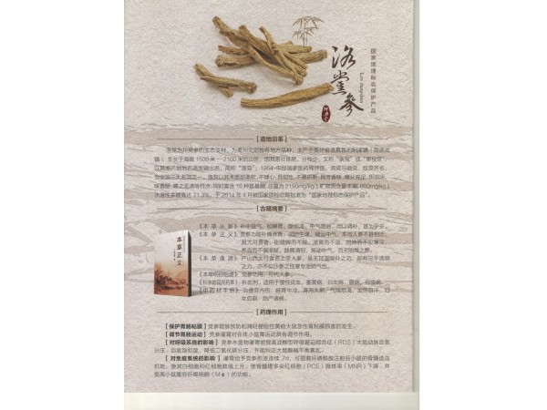 洛黨參