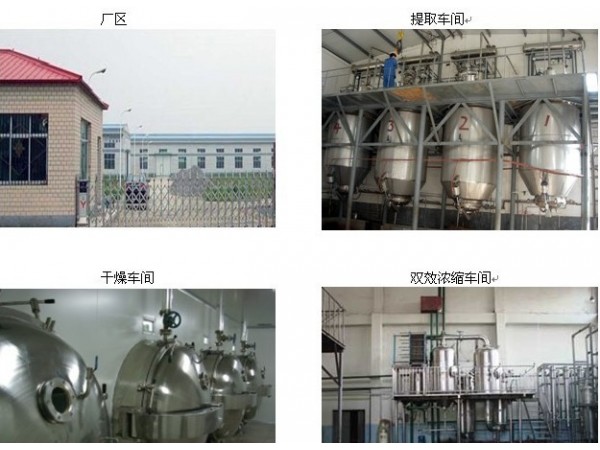 珊瑚菌提取物