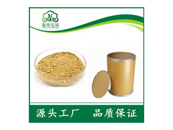 辣木根提取物