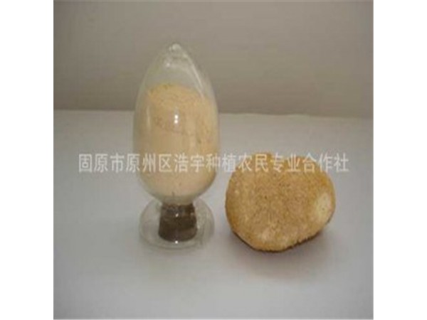猴頭菇多肽 80%