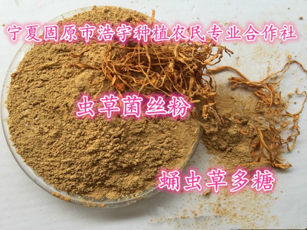 金蟲草多肽98%