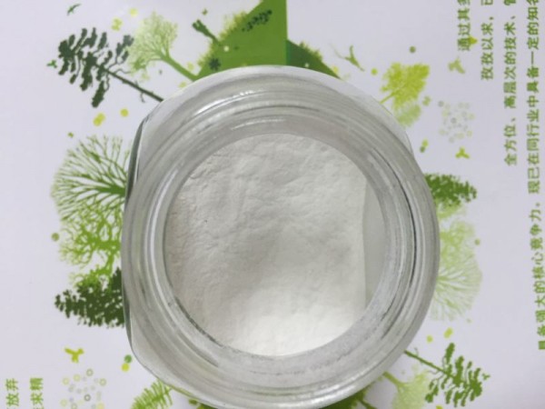 白藜蘆醇 20%