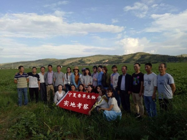 血當(dāng)歸提取物