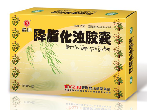 降脂化濁膠囊