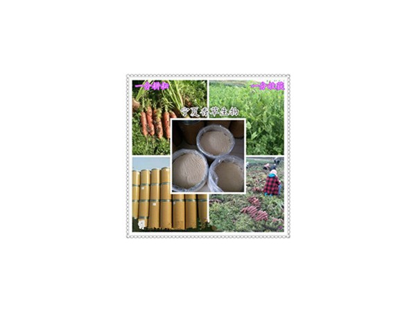 簕菜茶提取物