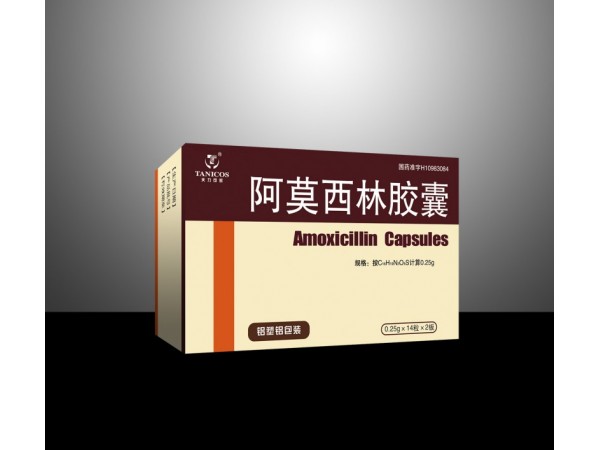 阿莫西林膠囊-天力可致