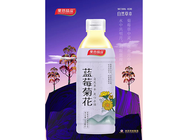 藍(lán)莓菊花植物飲料