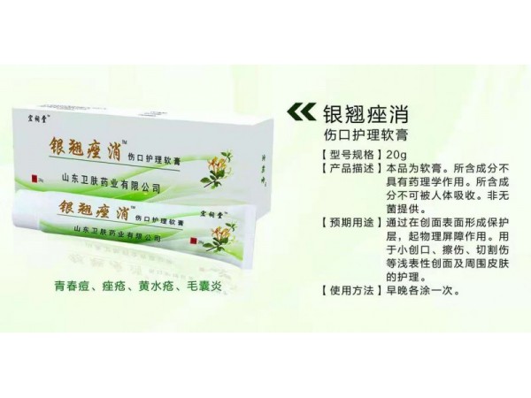 銀翹痤消