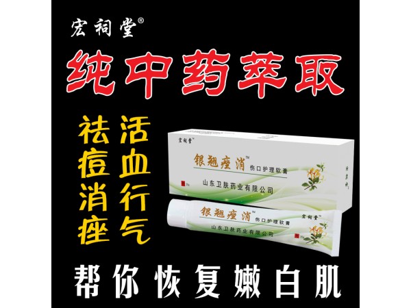 銀翹痤消