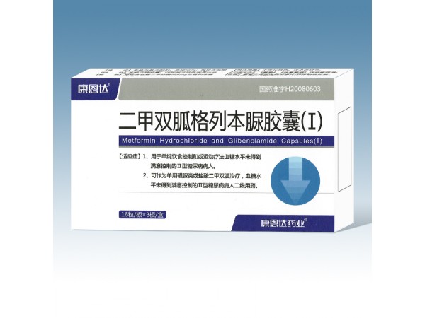 二甲雙胍格列本脲膠囊(Ⅰ)