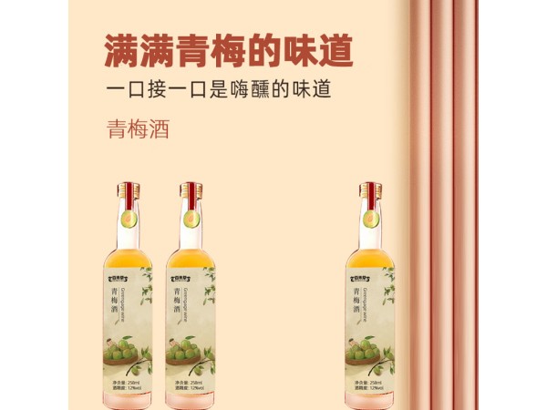 青梅酒oem貼牌山東慶葆堂