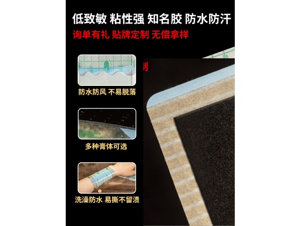 嵩山醫(yī)藥頸肩腰腿保健貼關(guān)節(jié)貼疼痛貼跌打扭傷頸椎貼膏藥貼腰腿痛