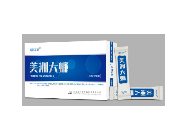 美洲大蠊